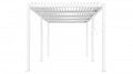 Pergola 5,8x3m vit